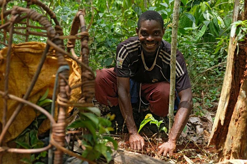 Ebony Project — Congo Basin Institute