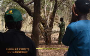 Capacity building fund Training on wildlife crime scene investigation