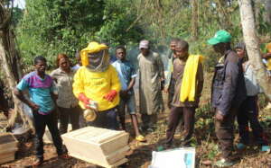 Capacity buidling Training in apiculture