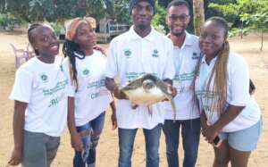 Capacity building Training on Sea Turtle by HIES Olive Ridley turtle rescued from a fisherman net